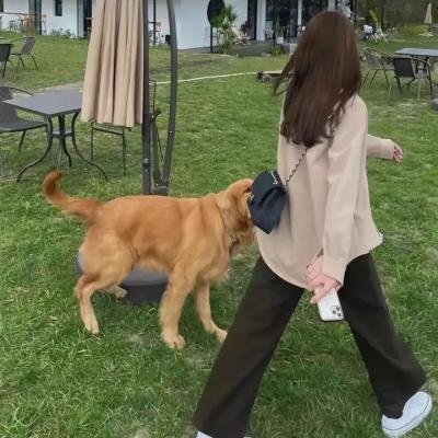 外之国的少女
